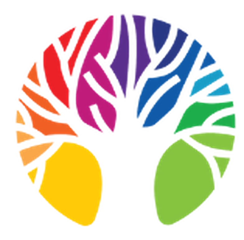 NAML Academy tree logo